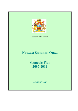 Draft NSO Strategic Plan - United Nations Statistics Division