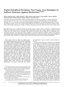Poplar Extrafloral Nectaries: Two Types, Two Strategies of Indirect