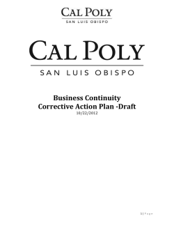 Business Continuity Corrective Action Plan - AFD