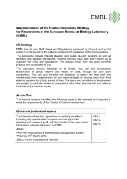 strategy and action plan