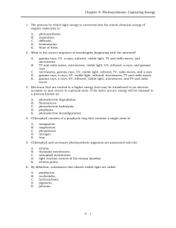 solomon chapter 9 practice test sept 2015