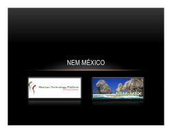 nem m&eacute;xico - NEM Initiative