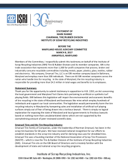 statement of mark rannie chairman, tire/rubber divsion institute of