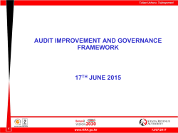 audit improvement and governance framework 17 th june 2015