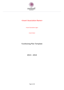 Fundraising Plan Template