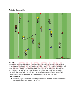 Activity- Coconut Shy Set Up Everyone pairs up and stands 10 yards