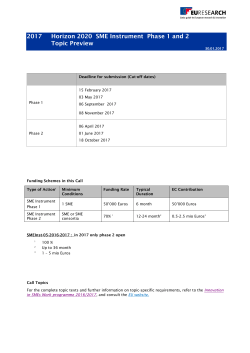 2017 Horizon 2020 SME Instrument Phase 1 and 2