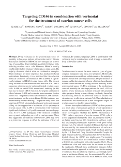 Targeting CD146 in combination with vorinostat for the treatment of