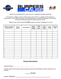 Lift A Thon Player Pledge Sheet - Website