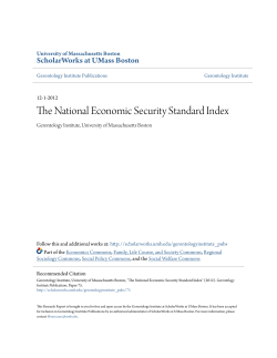 The National Economic Security Standard Index