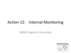 Action 12: Internal Monitoring - This is a placeholder for cua.ie