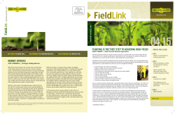 planting is the first step to achieving high yields