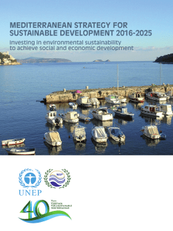 mediterranean strategy for sustainable development