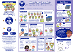 013 Wheres My Cupcake Web Instructions