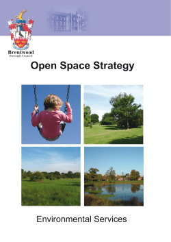 Open Space Strategy - Brentwood Borough Council