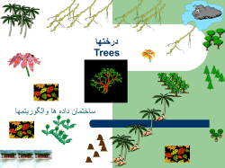 Binary Tree
