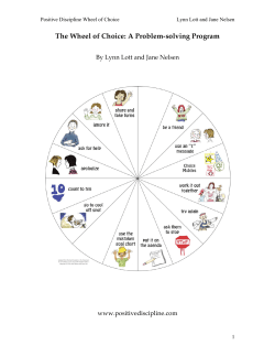 Wheel of Choice: A Problem Solving Program