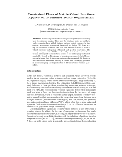 Constrained Flows of Matrix-Valued Functions: Application to