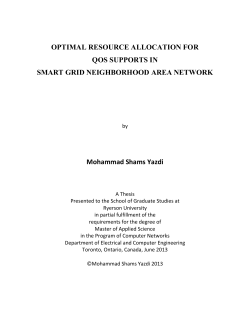 Smart Grid Neighborhood Area Network
