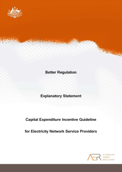 capital expenditure incentive guideline