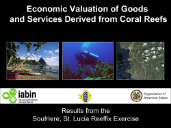 Economic Valuation of Goods and Services Derived from Coral