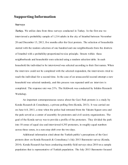 Supporting Information