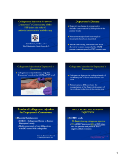 Dorothy Kaufmann Lectureship 2014