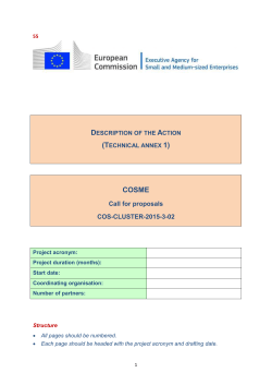 Description of Action Clusters Excellence