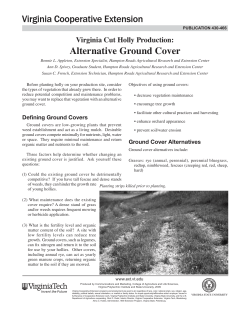 Alternative Ground Cover - VCE Publications