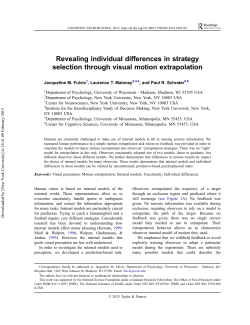 Revealing individual differences in strategy selection through visual