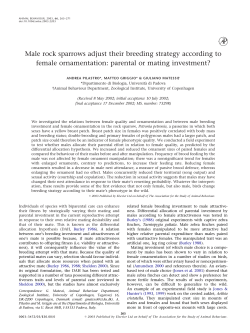 Male rock sparrows adjust their breeding strategy according to