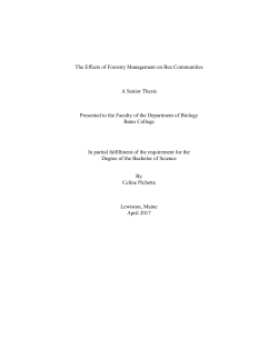 The Effects of Forestry Management on Bee