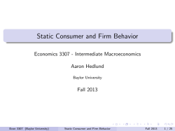 Static Consumer and Firm Behavior