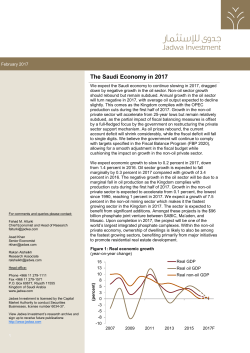 The Saudi Economy in 2017