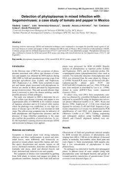 a case study of tomato and pepper in Mexico