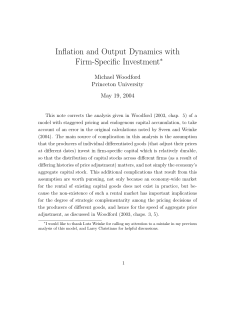 Inflation and Output Dynamics with Firm