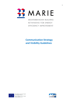 Communication Strategy and Visibility Guidelines