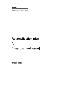 Rationalisation plan template