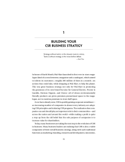 Building Your CSR Business Strategy