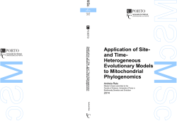 Heterogeneous Evolutionary Models to Mitochondrial Phylogenomics