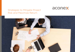 Strategies to Mitigate Project Risk and Maximize Return