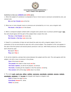 Level 2 Special Grammar Worksheet No. 1 Topic/s: Subject Verb