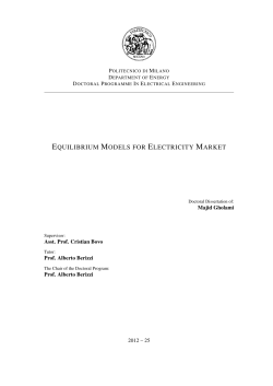 equilibrium models for electricity market - POLITesi