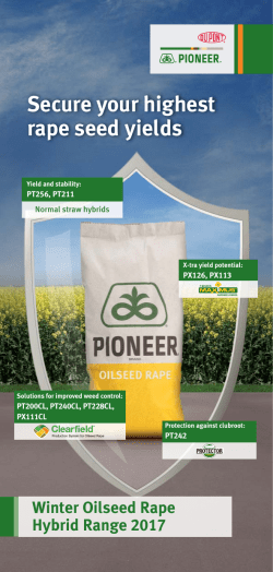 Secure your highest rape seed yields - Pioneer Hi-Bred