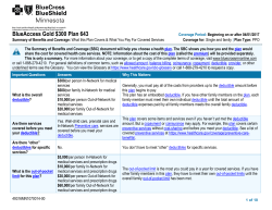 BlueAccess Gold $300 Plan 643 - Blue Cross and Blue Shield of