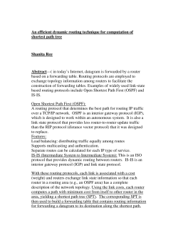 An efficient dynamic routing technique for computation of