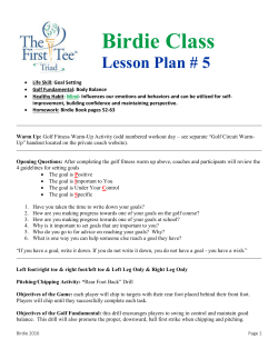 Birdie Lesson 5 (Part 1) - The First Tee of the Triad
