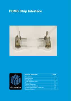 PDMS Chip Interface - Dolomite Microfluidics