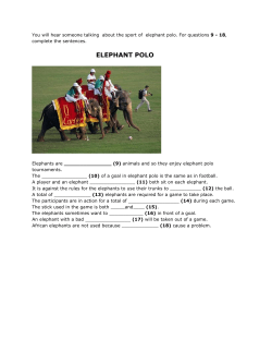 elephant polo - Link eLearning