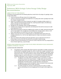 Preliminary MGA Geologic Carbon Storage Utility Design
